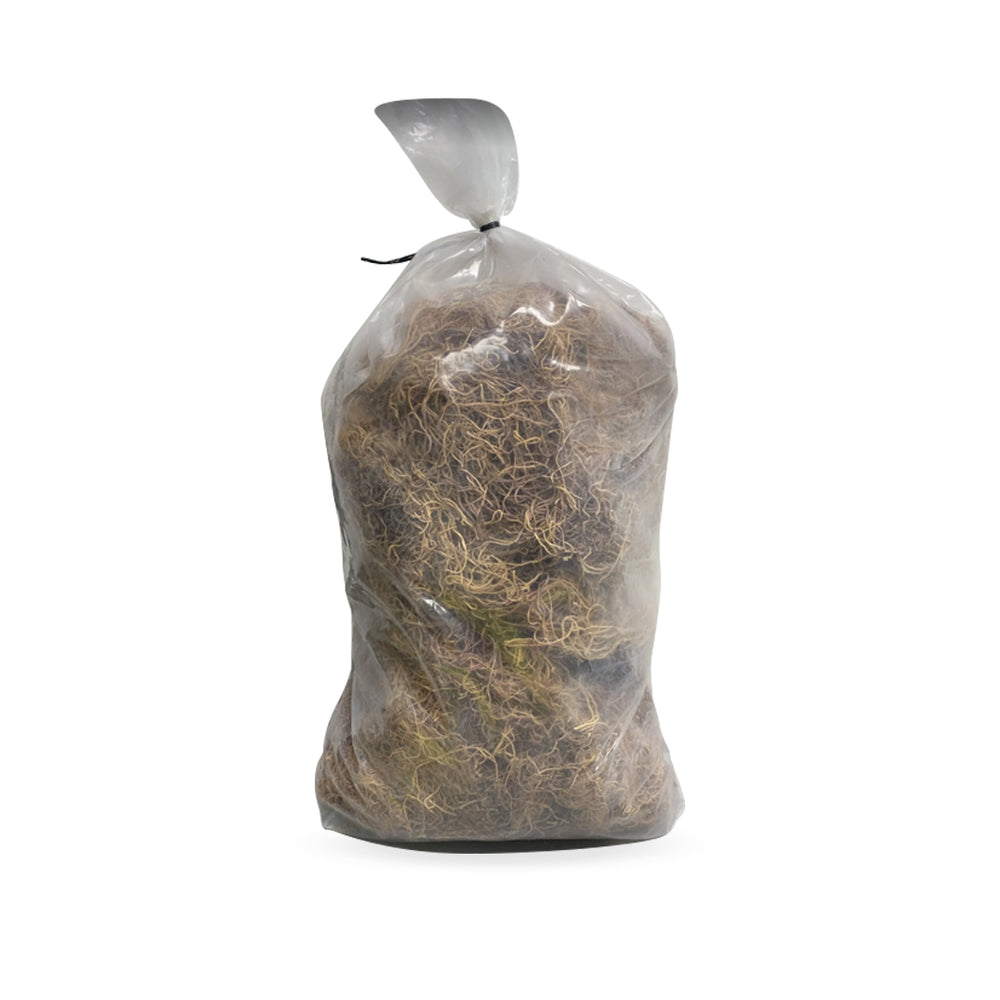 1 POUND RAW SEA MOSS